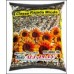 GIRASSOL MIUDO - EMPACOTADO FD C/ 10 X 5 P*0